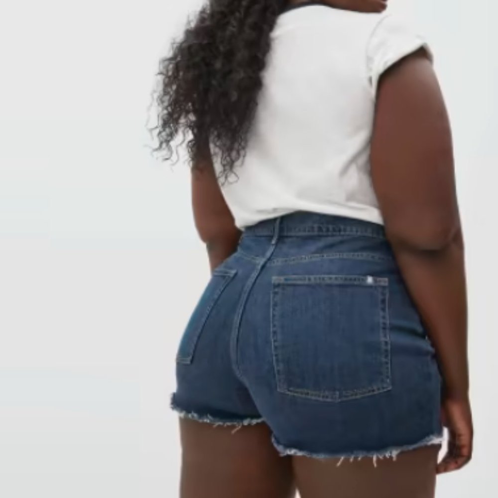 Everlane The Way-High Jean Short Dark Wash - NWOT Sz 31